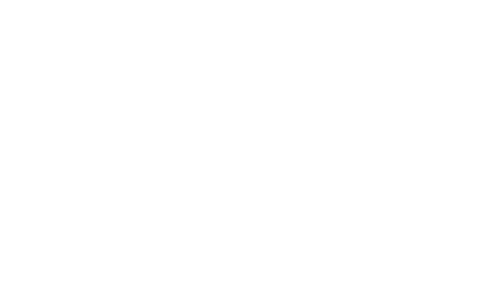 University of Aizu