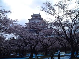 2005-04-23 08:41:23