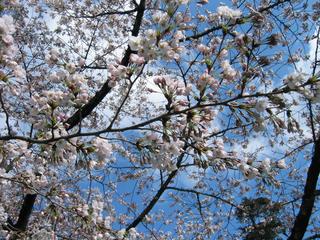 2005-04-23 08:46:48