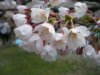 2005-04-23 08:47:13