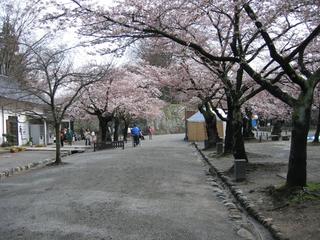 2005-04-23 08:48:25
