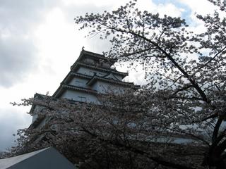 2005-04-23 08:48:51