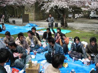 2005-04-23 11:49:04