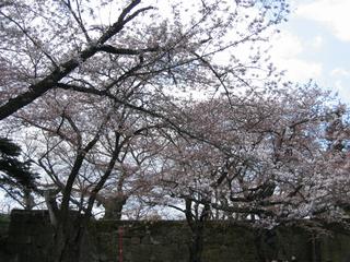2005-04-23 13:24:01