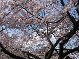 2005-04-23 14:41:04