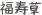 shapeimage_1_link_2