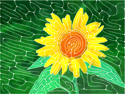 Sunflower - CLP